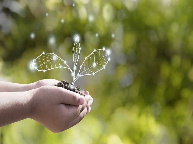 IN PRESENZA E VIA WEB
Think ahead: verso un futuro sostenibile