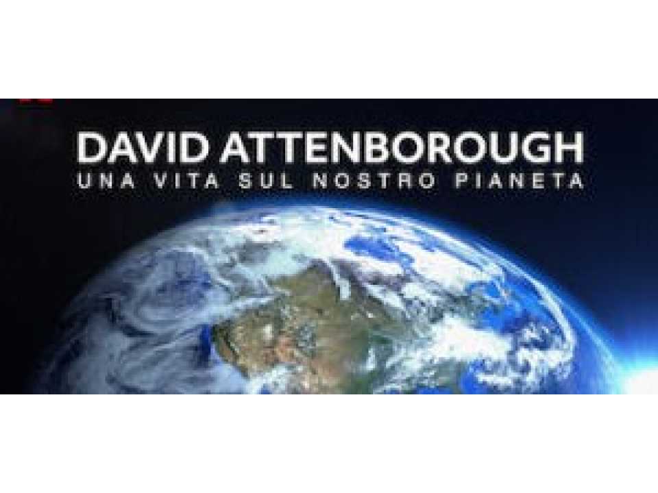 IN PRESENZA E VIA WEB
Think ahead: verso un futuro sostenibile