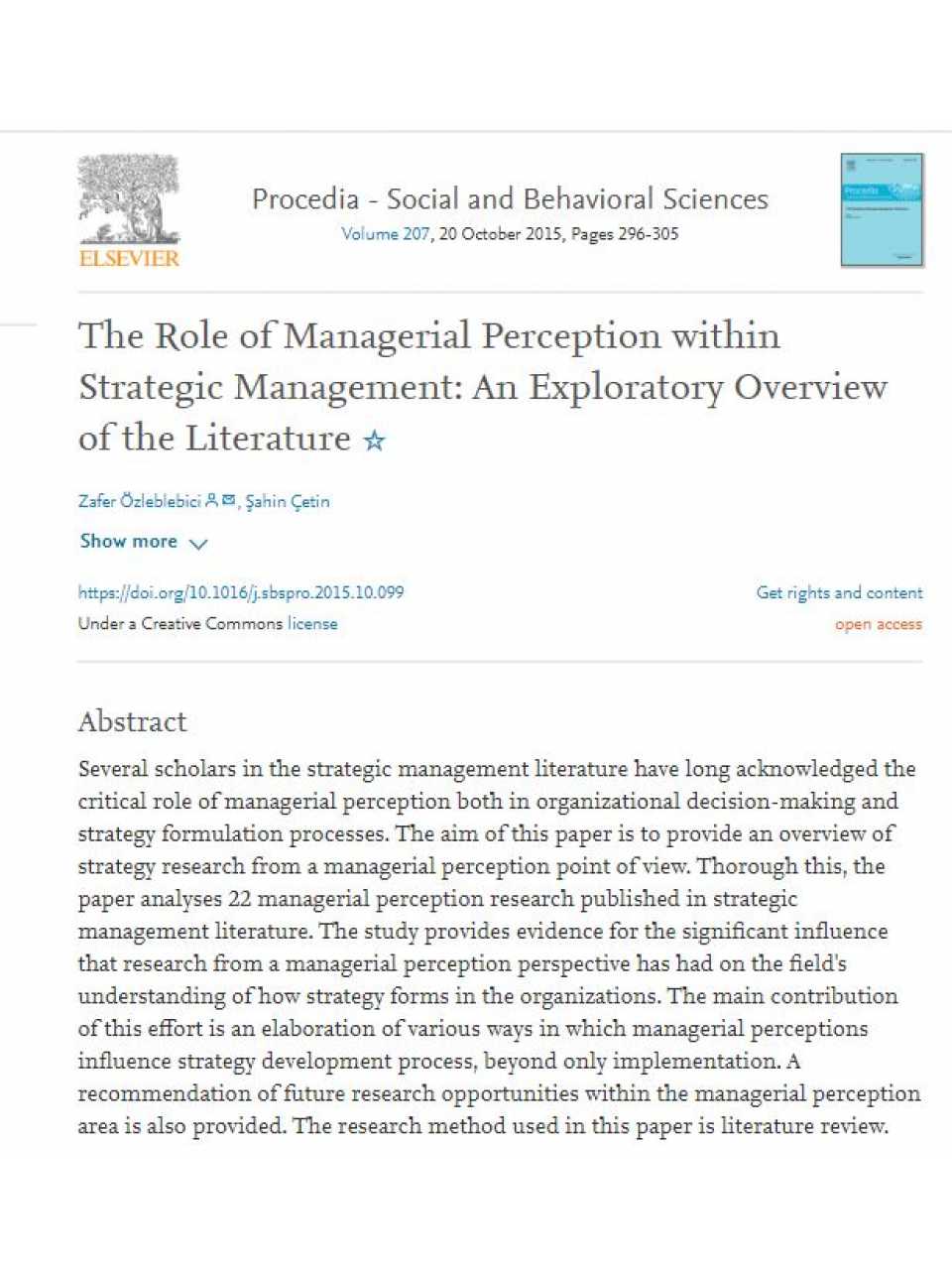 The Role of Managerial Perception within Strategic Management: An Exploratory Overview of the Literature