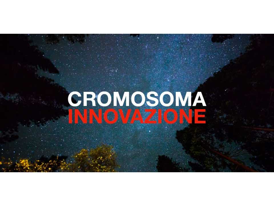 VIA WEBCromosoma innovazione: come la tecnologia riscrive la genetica delle aziende