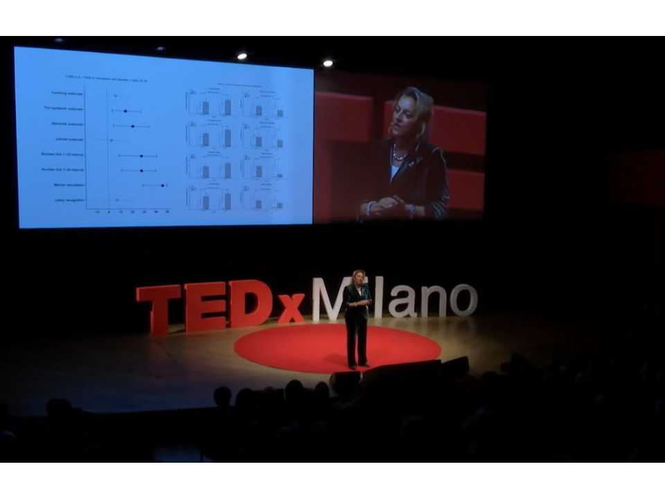 Emotional short-circuits: the intelligence behind mistakes