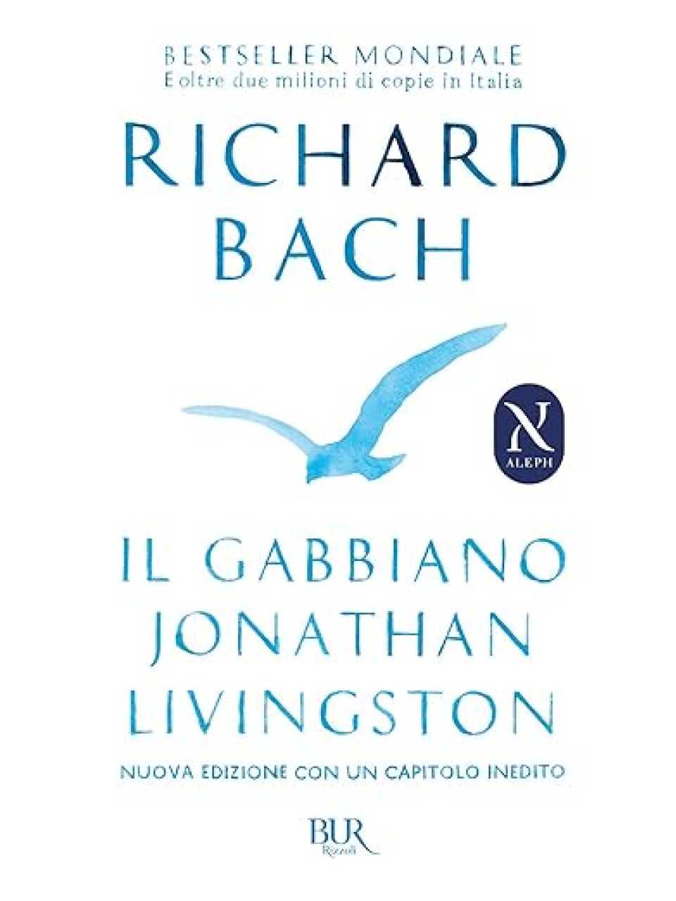 Il gabbiano Jonathan Livingston