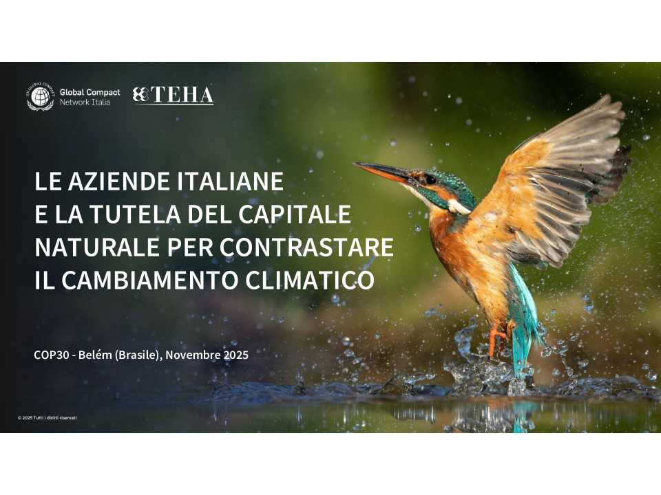 TEHA LIVEVIA WEB
Sustainability metrics and management: the path from innovation to routine