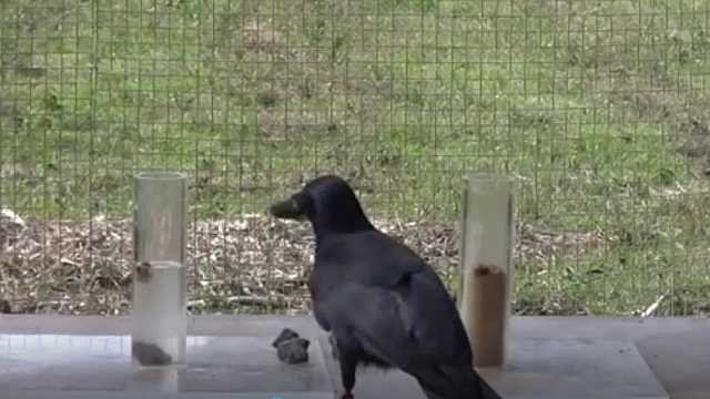 Creatività nell’arte e nella scienza - esperimento 1