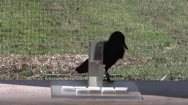 Creatività nell’arte e nella scienza - esperimento 2