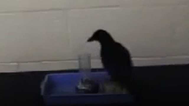 Creatività nell’arte e nella scienza - esperimento 3