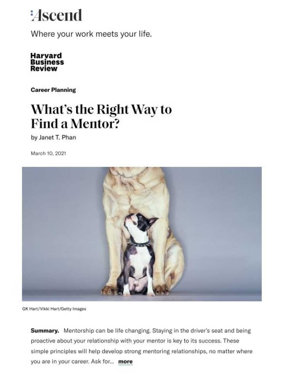 IN PRESENZA E VIA WEB
Leadership 3.0: il potenziale nascosto di gentilezza, empatia e inclusione